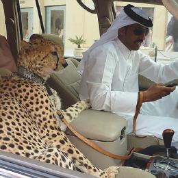 Coisas bizarras e impressionantes que só acontecem em Dubai