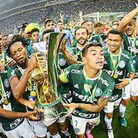A campanha do campeonato do Palmeiras!