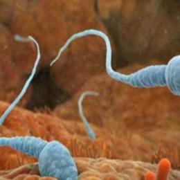 7 incríveis curiosidades que você não sabia sobre os espermatozoides