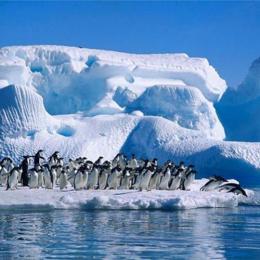 15 curiosidades interessantes sobre a Antártica