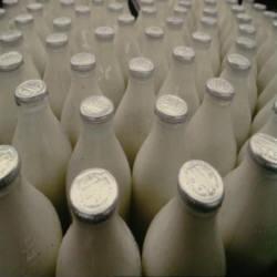 Carne Fraca: leite com ureia e óleo em vez de azeite estão entre fraudes