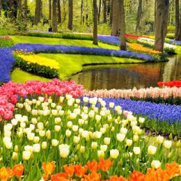Conheça 10 dos jardins mais lindos do mundo por onde você adoraria passear