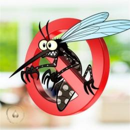 26 Curiosidades sobre o Aedes Aegypti