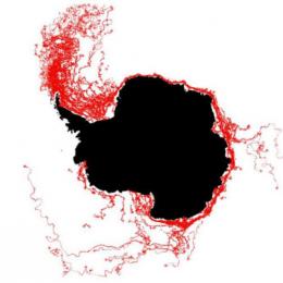 Para onde está indo o iceberg gigante que acaba de se separar da Antártida?