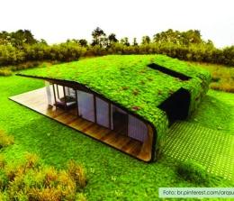 Telhado verde 
