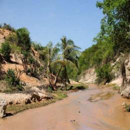 Assoreamento de rios: o que é e como evitar