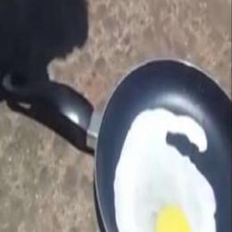 Jovem frita ovo no asfalto e vídeo viraliza pelas redes sociais