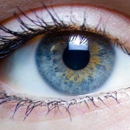 Quantos megapixels equivalem ao olho humano?