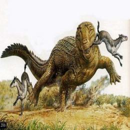 Réptil ancestral pode abrir lacunas sobre a evolução dos dinossauros