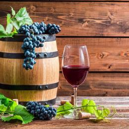 Conheça 10 tipos de uva para vinhos
