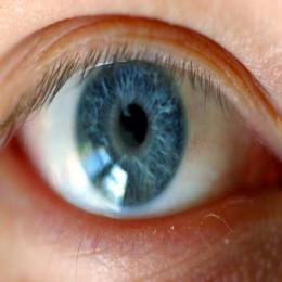 Todas as pessoas com olhos azuis descendem de um único ser humano