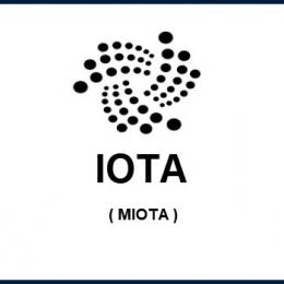 Conheça a Criptomoeda IOTA (MIOTA)