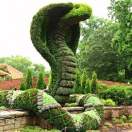 Idéias criativas para o jardim da sua casa