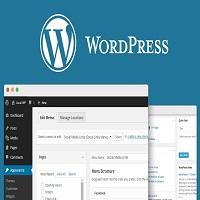 Aprenda a criar um site profissional Wordpress passo a passo