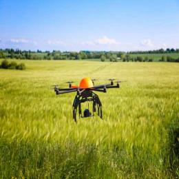 O drone que planta árvores