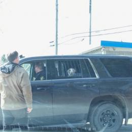 Foto de cão 'atrás das grades' em viatura policial no Canadá viraliza