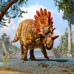 Primeira evidência de convergência evolutiva em dinossauros com chifres