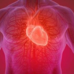 Cientistas criam curativo que pulsa para tratar sequelas de corações infartados