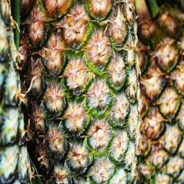 O abacaxi, uma fruta para melhorar sua saúde
