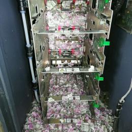 Ratos destroem mais de R$ 66 mil em caixa eletrônico na Índia
