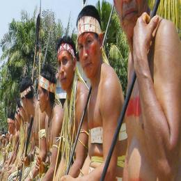 Salvando o conhecimento indígena da Amazônia