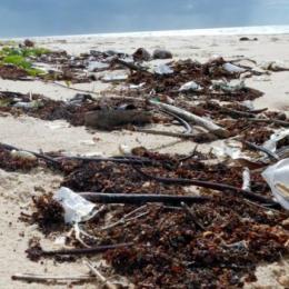 Os 10 itens mais encontrados nas praias do Brasil pela ONU