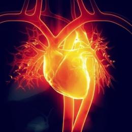 Novas orientações mudam diagnóstico do ataque cardíaco