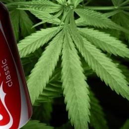  Coca-Cola pretende lançar bebida com maconha 
