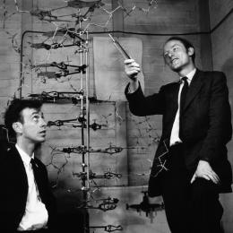Gênios da ciência: Watson & Crick