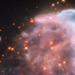 Nasa divulga imagem de nebulosa 'fantasma' de constelação