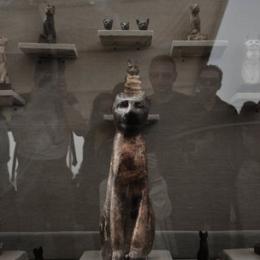 Arqueólogos encontram tumbas com múmias de gato no Egito