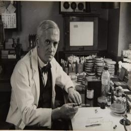 Gênios da Ciência: Alexander Fleming