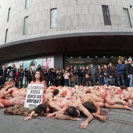 Ativistas manifestam-se nus em defesa dos animais