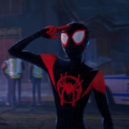 Homem Aranha no Aranhaverso, muito mais que uma animação!