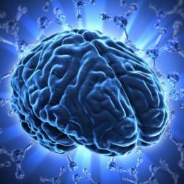 Memória: Como proteger a saúde do Cérebro?