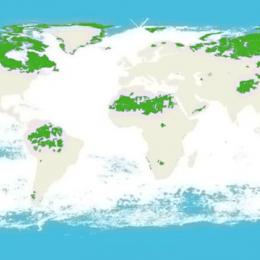 Os 5 países que concentram 70% dos ecossistemas intactos no mundo