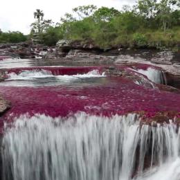 'Arco-íris líquido': o remoto rio da Colômbia descrito como a 8ª maravilha do mundo