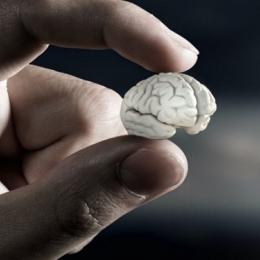 Mini cérebro artificial já existe e é poderoso