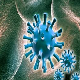 O vírus herpes-zoster