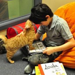 Crianças, livros, gatos e ressocialização