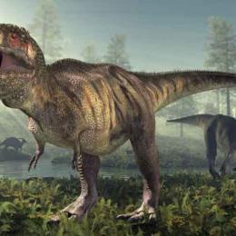 Novo parente do temido Tiranossauro Rex é descoberto
