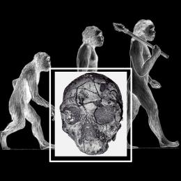 Crânio de Homo Sapiens com mais de 200 mil anos é encontrado na Grécia