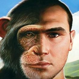 Cientistas criam primeiro macaco-humano em laboratório