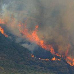 Mato Grosso lidera queimadas na Amazônia e ministro culpa criminosos