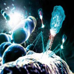 Bacteriófago: o vírus comedor de bactérias