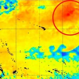 Anomalia no Pacífico ameaça o regresso do 'The Blob'