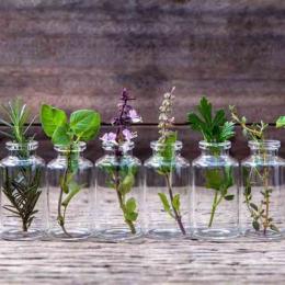 Cultive 8 ervas aromáticas na sua cozinha