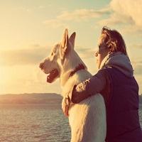 Saúde cardíaca: por que o seu cachorro é o melhor amigo do seu coração