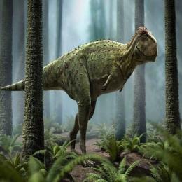 O primo brasileiro do Tiranossauro rex