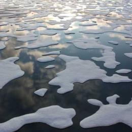 Oceano Ártico pode ficar sem gelo até meio deste seculo
